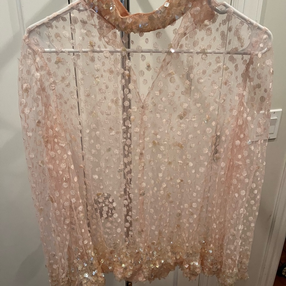 Sheer Sequin Blouse